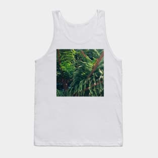 Pine trees in the morning light | rustic cabin decor Tank Top